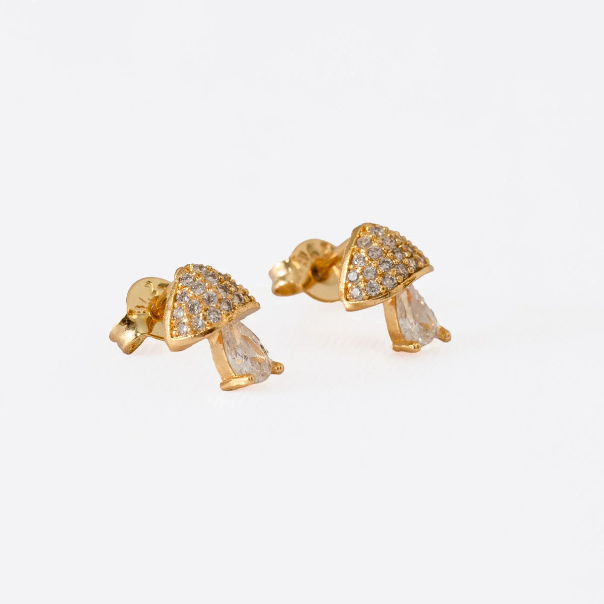 Aretes mushroom
