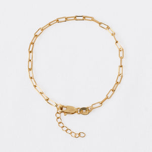 Esclava chain 16 Cms + extensor